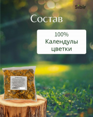 Календулы цветки - Фото 3