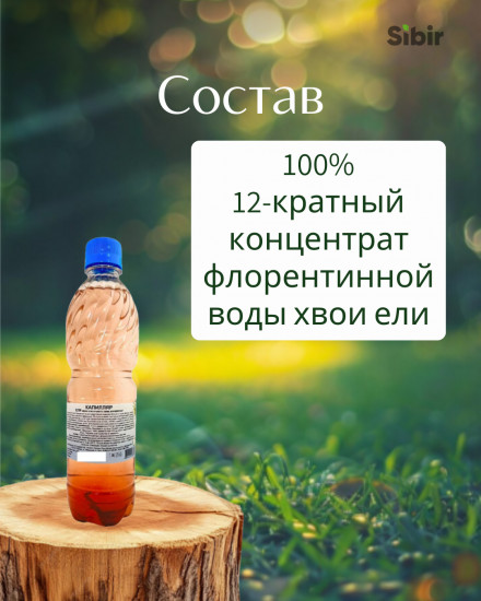 Ели хвои клеточного сока концентрат «Капилляр»