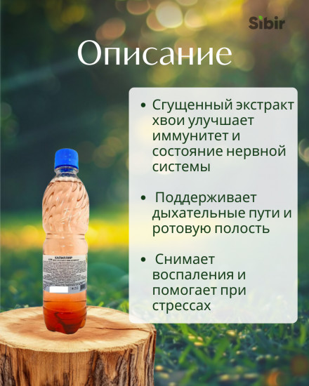 Ели хвои клеточного сока концентрат «Капилляр»