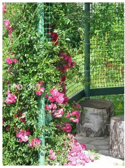 Сетка для палисадника