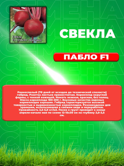 Семена свеклы столовой «Пабло F1»