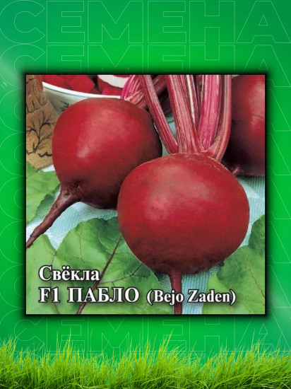 Семена свеклы столовой «Пабло F1»