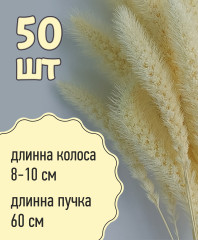 Набор сухоцветов «Лисохвост» - Фото 1