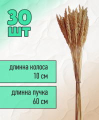 Набор сухоцветов «Пайза» - Фото 1