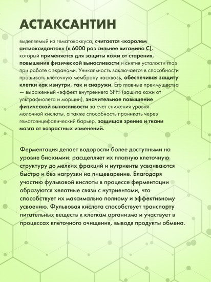 Ферментированные водоросли