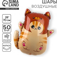 Набор шаров воздушных «Котик в шапке» - Фото 1