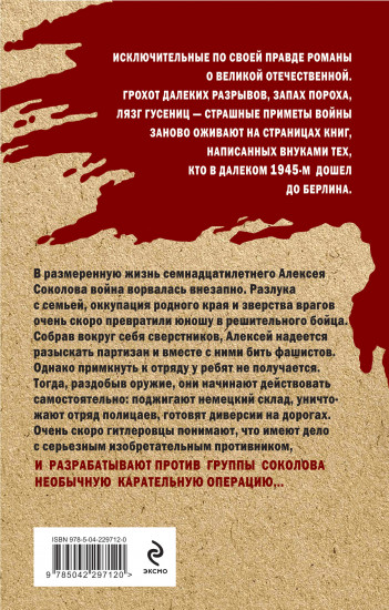 Семнадцатилетний генерал