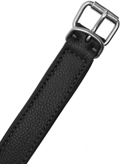 Ошейник для собак