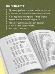 Новый ребёнок к пятнице. Воспитание без криков и наказаний за 5 дней - Фото 6