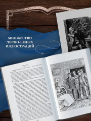 Деньги. Мечта. Покорение Плассана - Фото 4