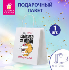 Пакет подарочный - Фото 1