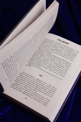 Дрянь с историей - Фото 10