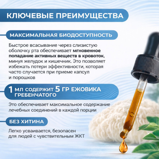 Экстракт ежовика гребенчатого