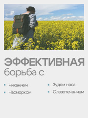 Мазь противоаллергическая «Пыленос» - Фото 1