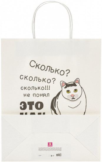 Пакет подарочный