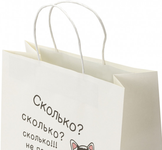 Пакет подарочный