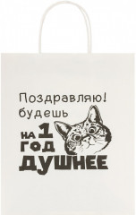 Пакет подарочный - Фото 2