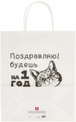 Пакет подарочный - Фото 3