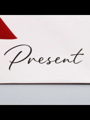 Пакет подарочный с широким дном «Подарок» - Фото 2