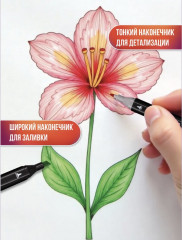 Набор двусторонних маркеров для скетчинга с чехлом - Фото 5