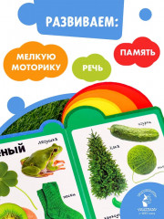 Цвета - Фото 4