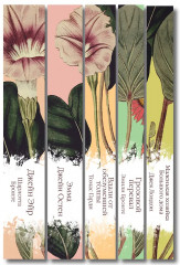 Эмма. Джейн Эйр. Вдали от обезумевшей толпы.Маленькая хозяйка Большого дома. Грозовой перевал. Комплект из 5 книг - Фото 3