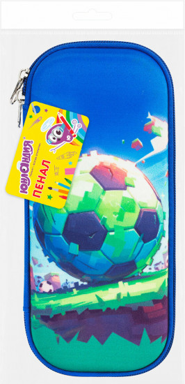 Пенал школьный