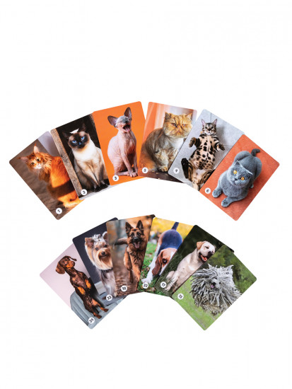 Игра «Мемо. Кошечки-собачки»