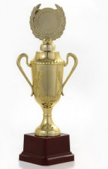 Кубок - Фото 2