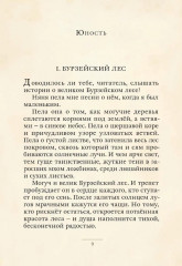 Жизнь и приключения Санта-Клауса - Фото 4