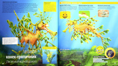 Загадочные животные - Фото 2