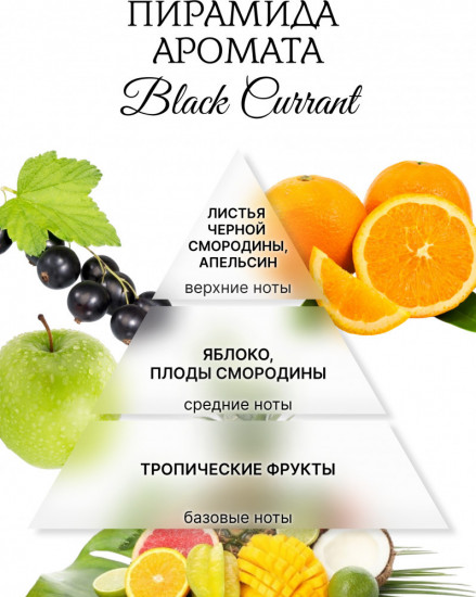 Аромавоск для аромалампы «Черная смородина»