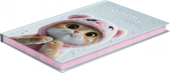 Анкета для друзей «Кот в капюшоне»