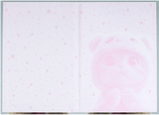 Анкета для друзей «Кот в капюшоне»