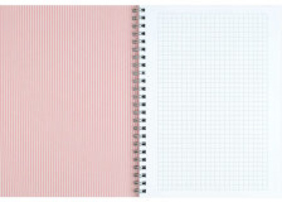 Блокнот «Розовые птицы»