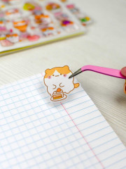 Набор наклеек в блокноте «На прогулке» - Фото 15