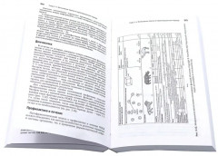 Интенсивная терапия. Краткое издание. Комплект из 2 книг - Фото 6