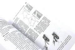 Интенсивная терапия. Краткое издание. Комплект из 2 книг - Фото 7