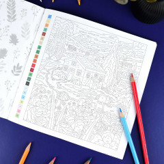 Раскраска «Пейзажи» - Фото 3