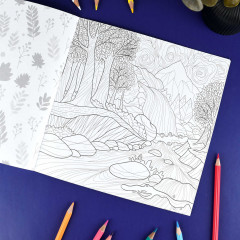 Раскраска «Пейзажи» - Фото 8