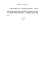 Истинная заноза декана - Фото 10