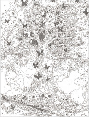 Картина по номерам со светящимися красками «Волшебное дерево» - Фото 4