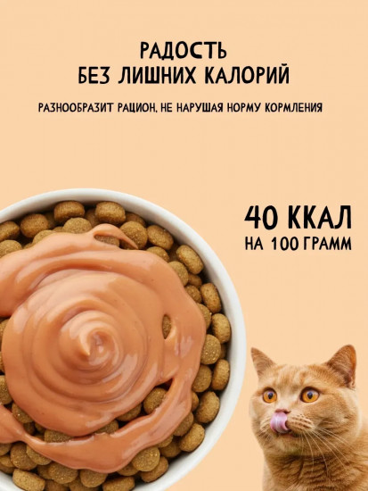 Лакомство для кошек «Соус мясной с говядиной»