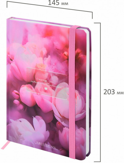 Ежедневник