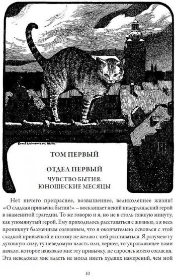 Житейские воззрения кота Мурра