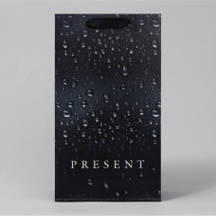 Пакет подарочный под две бутылки - Фото 4