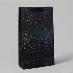 Пакет подарочный под две бутылки - Фото 5