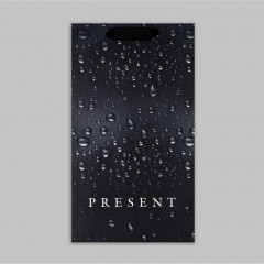 Пакет подарочный под две бутылки - Фото 7