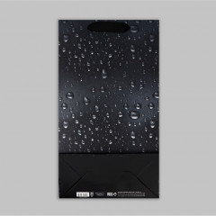 Пакет подарочный под две бутылки - Фото 8