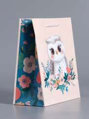 Пакет подарочный «Мудрая совушка» - Фото 3